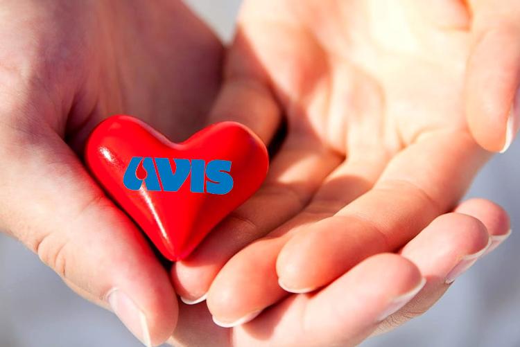 Avis
